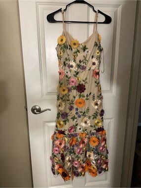 Flying Tomato Beige Mesh Dress with Multicolor Floral Embroidery